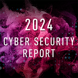 2023 300 cyber security report